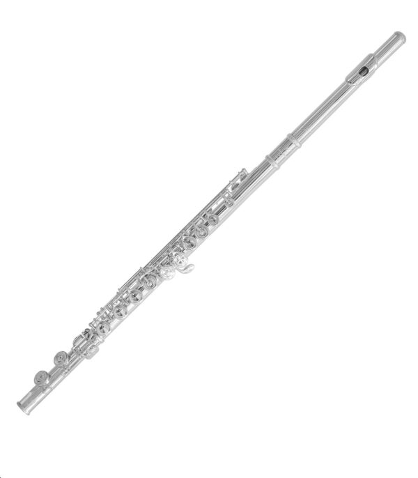 Trevor James | 10XP Flute with .925 Sterling Silver Lip Plate & Riser 3042EASLRW